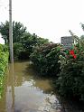 Hochwasser (179)
